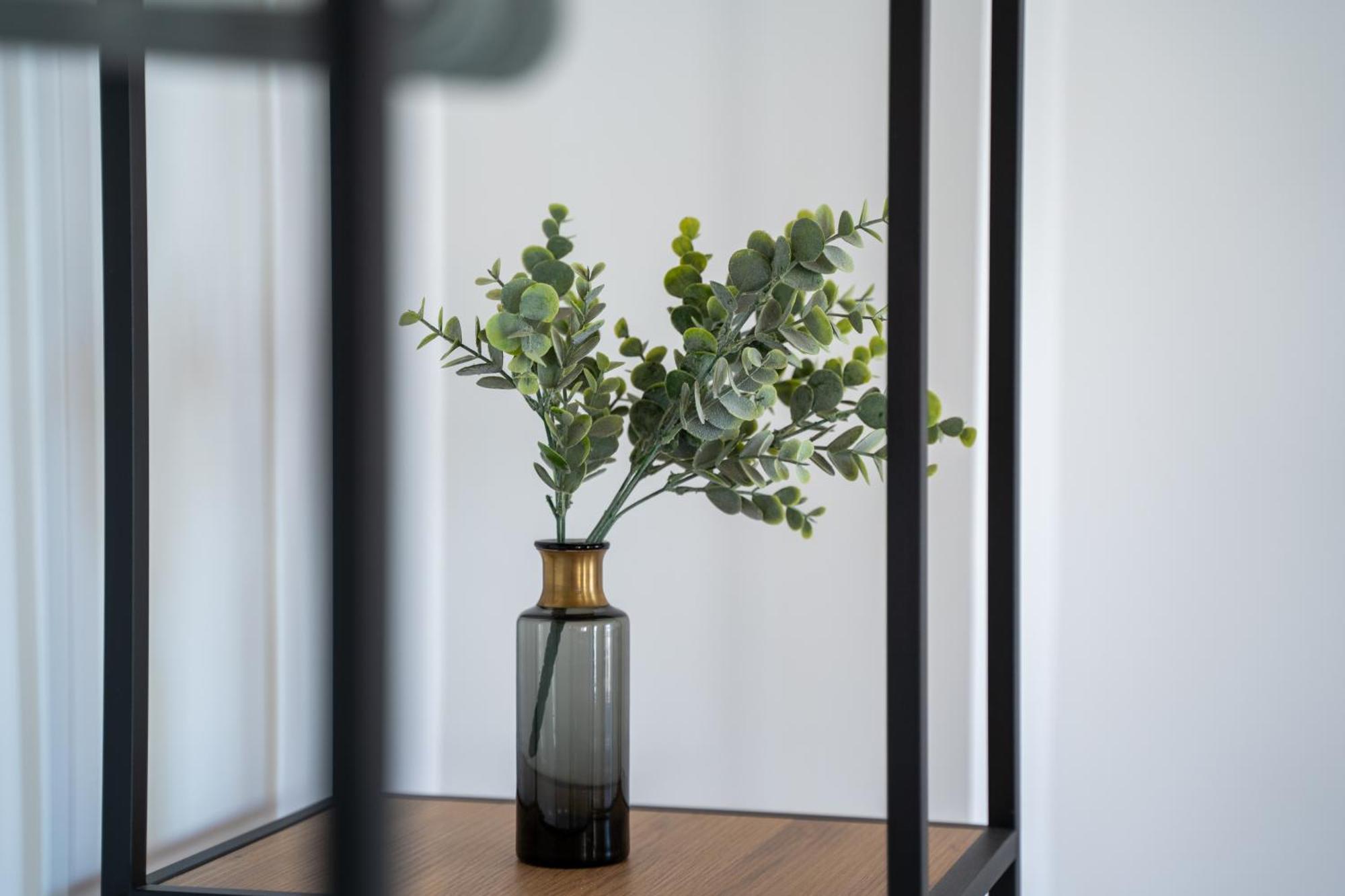 Apartamentos Gomerez 30 格拉纳达 外观 照片